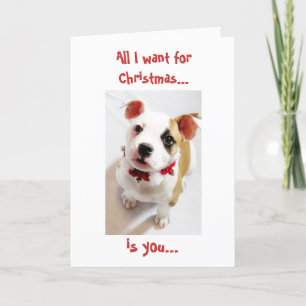 Cartão De Festividades All I want for Christmas...is you