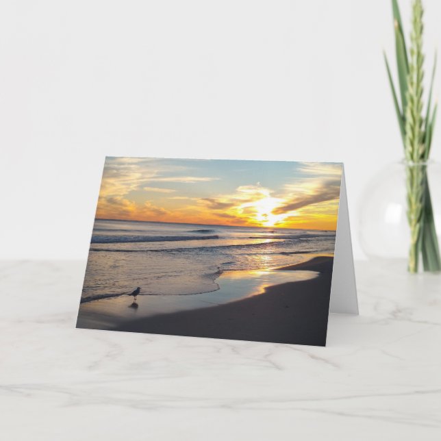 Cartão De Festividades All Occasion Card - Blank Inside (Frente)