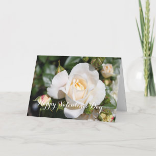 Cartão De Festividades All occasion white rose, add your photo, text