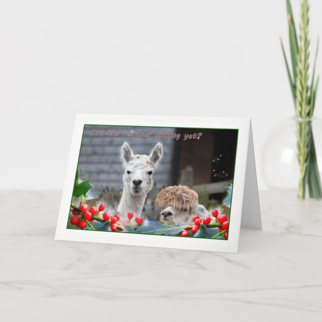 Cartão De Festividades Alpaca Christmas (Frente)
