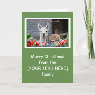 Cartão De Festividades Alpaca Christmas