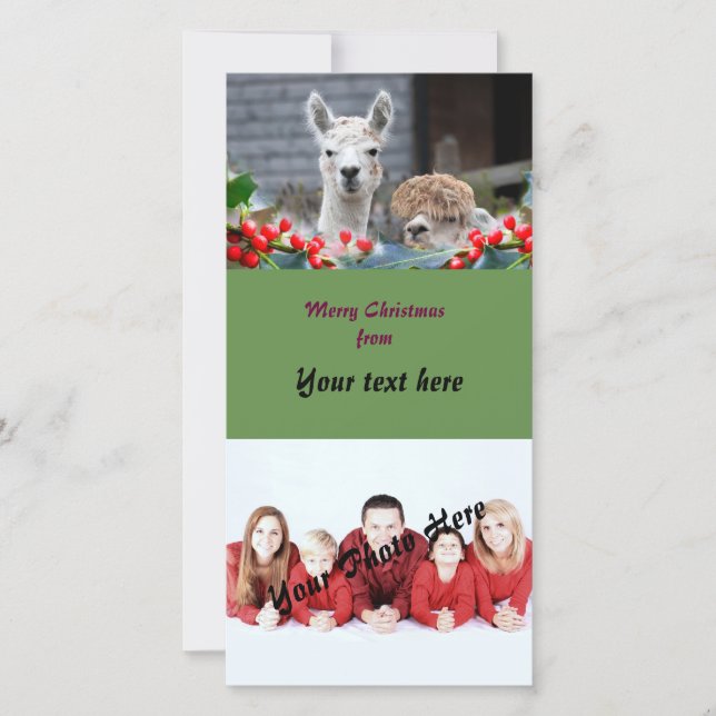 Cartão De Festividades Alpaca Christmas (Frente)