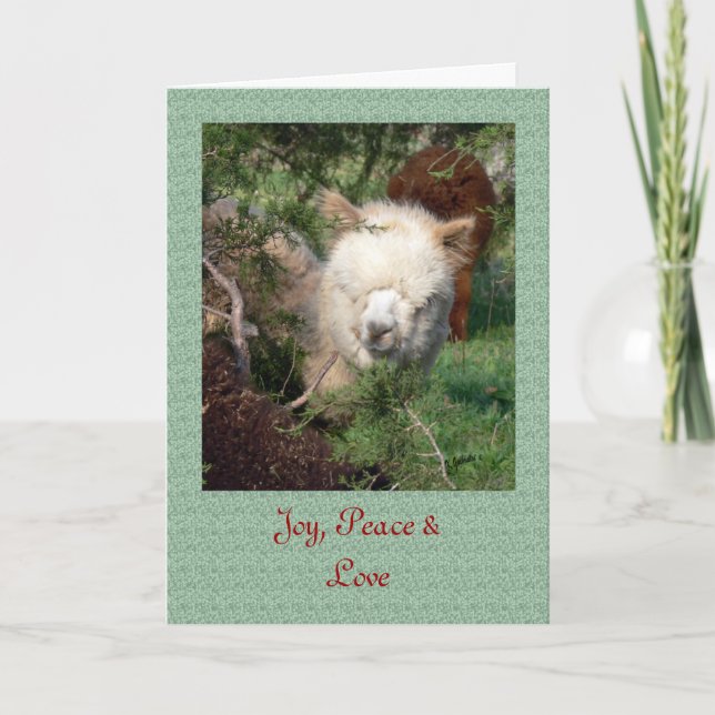 Cartão De Festividades Alpaca Christmas Card (Frente)