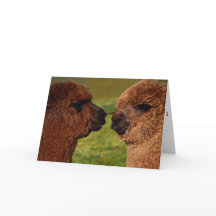 Alpaca love BFF Valentine's Day card
