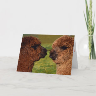 Cartão De Festividades Alpaca love BFF Valentine's Day card
