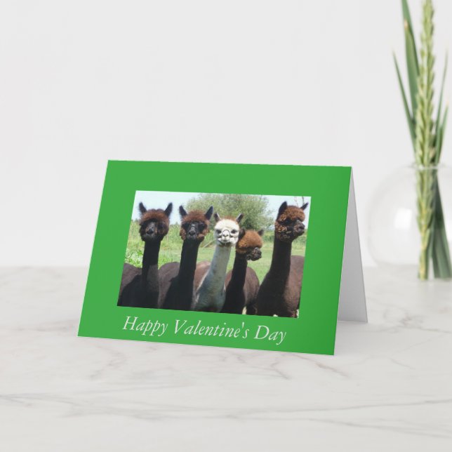 Cartão De Festividades Alpaca Valentine's Day (Frente)