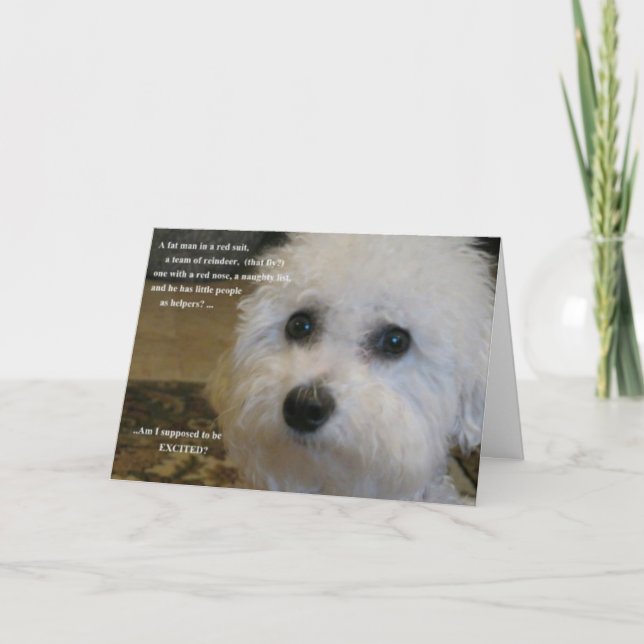 Cartão De Festividades Am I supposed to be excited? (Frente)