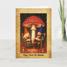 Amanita Mushroom e Gnomos