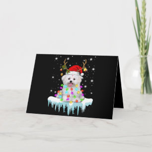 Cartão De Festividades Amante de Cachorro   Luz de Fada de Natal Maltês n