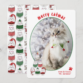 Cartão De Festividades Amante de Gatos Festa Gato Fofo Foto Natal
