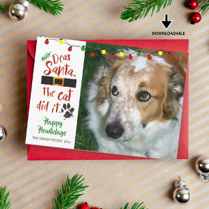 Cartão De Festividades Amantes de Cães, "Querido Papai Noel, O Gato Fez"-