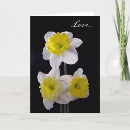 Cartão De Festividades Amarelo no Dia de os namorados Daffodil branco