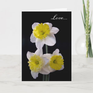 Cartão De Festividades Amarelo no Dia de os namorados Daffodil branco