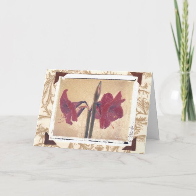 Cartão De Festividades amaryllis_2 (Frente)