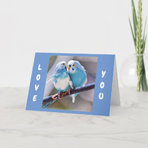 CARTÃO DE FESTIVIDADES **AMEM PÁSSAROS PARA DIZER QUE EU TE AMO** CARTÃ