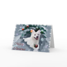 American Eskimo Dog Christmas