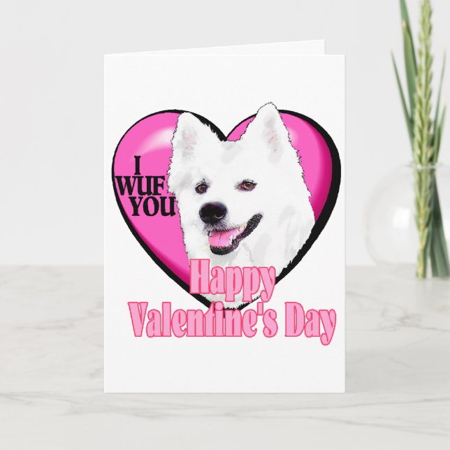 Cartão De Festividades American Eskimo Dog Valentines (Frente)