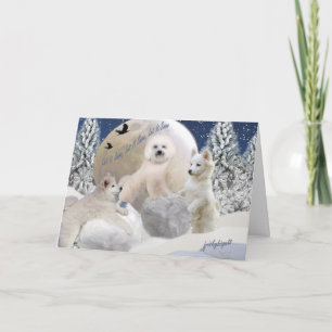 Cartão De Festividades American Eskimo Let It Snow Cards