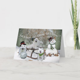 Cartão De Festividades American Eskimo Let It Snow Let It Snow