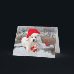 Cartão De Festividades American Eskimo Santa  Winter Snows<br><div class="desc">American Eskimo poses against a winter backdrop wearing Santa had while holding candy cane... fun holiday card for the person with an American Eskimo Dog.</div>