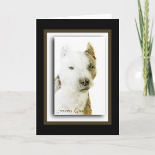 Cartão De Festividades American Pit Bull Terrier