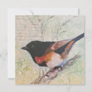 Cartão De Festividades American Redstart Greeting Card