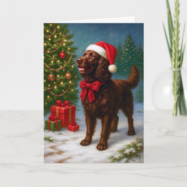 Cartão De Festividades American Water Spaniel Holiday Card (Frente)