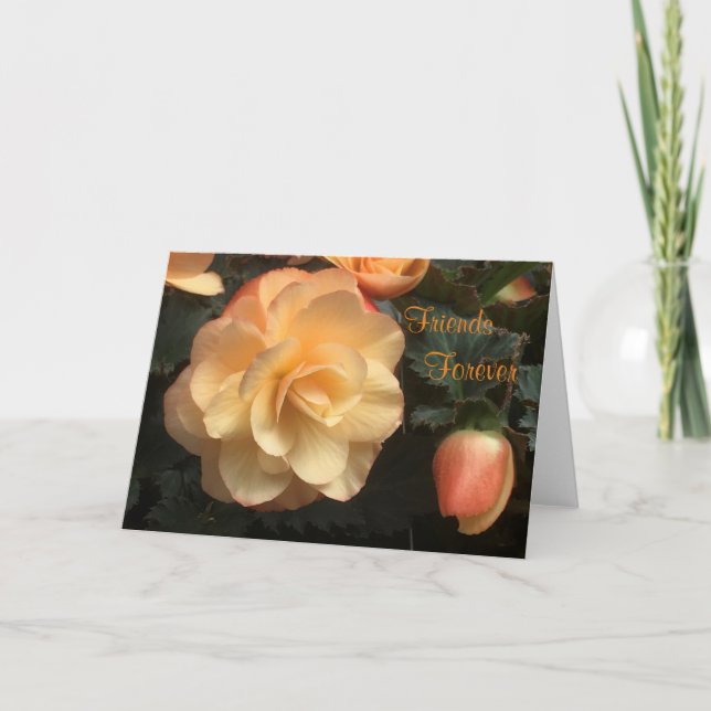 Cartão De Festividades Amigos para sempre (Frente)