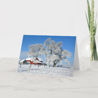 Cartão De Festividades Amish Farm Ice Tree