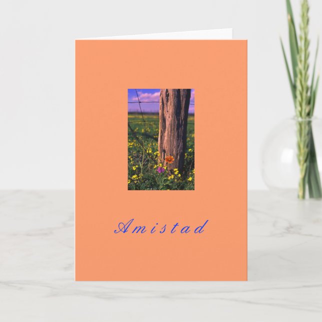 Cartão De Festividades "Amistad" (Frente)