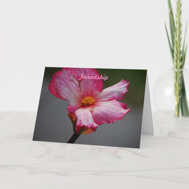 Cartão De Festividades Amizade (Frente)