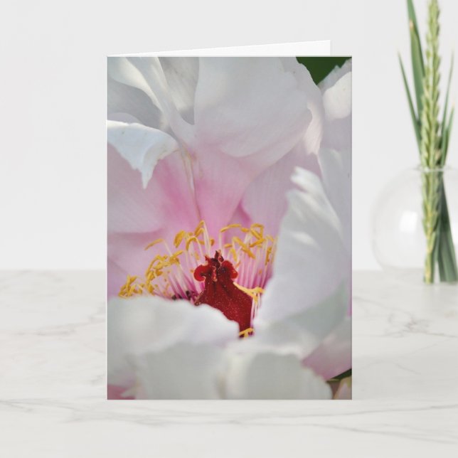 Cartão De Festividades Amor (Frente)