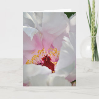 Cartão De Festividades Amor