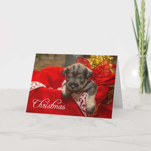 Cartão De Festividades Amor de Natal (Frente)