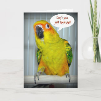 Cartão De Festividades Amor de Sun Conure