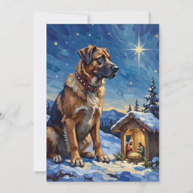 Cartão De Festividades Anatolian Shepherd Dog Guarding Nativity Scene (Frente)