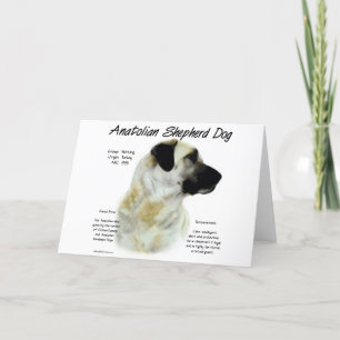 Cartão De Festividades Anatolian Shepherd Dog History Design