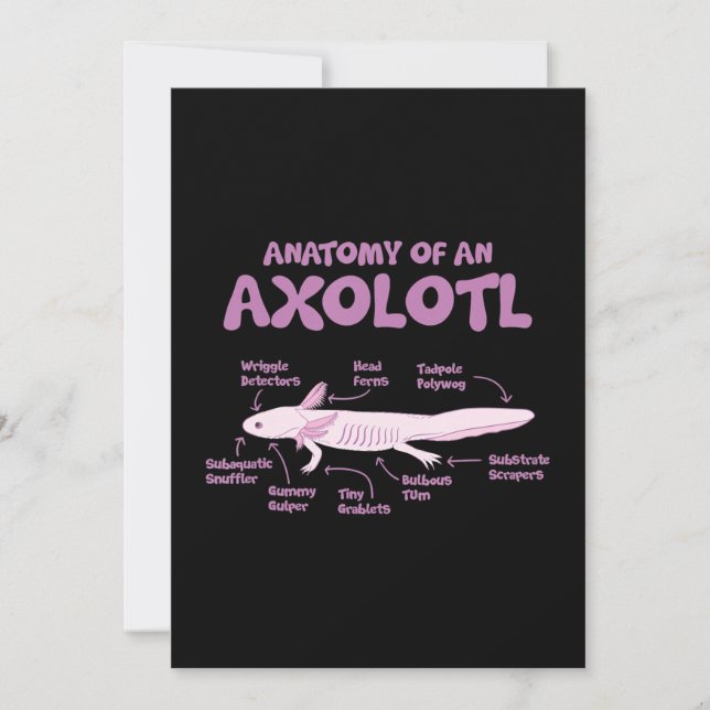 Cartão De Festividades anatomy of an axolotl  axolotls biology science  . (Frente)