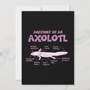 Cartão De Festividades anatomy of an axolotl  axolotls biology science  .