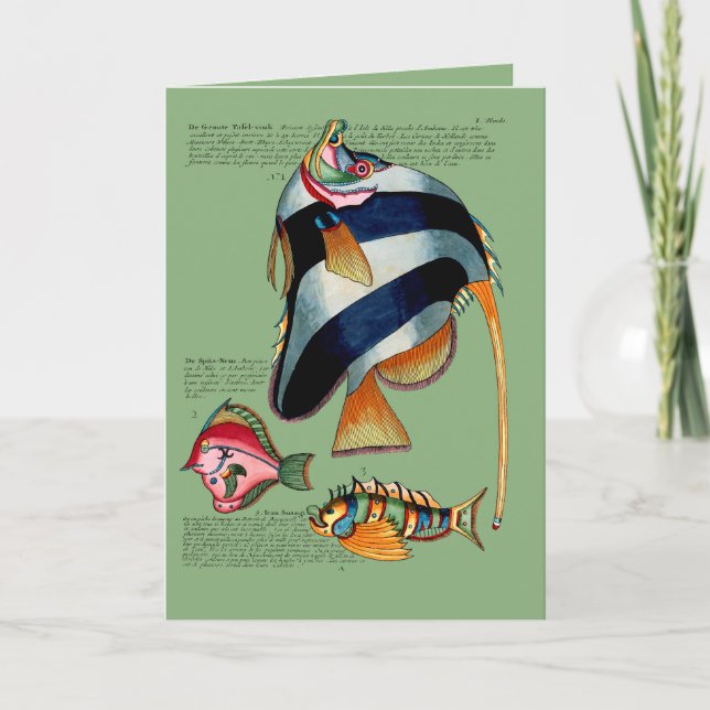 Cartão De Festividades Angel Fish e Amigos (Frente)