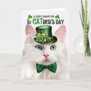 Cartão De Festividades Angora Cat Engraçado Rua.