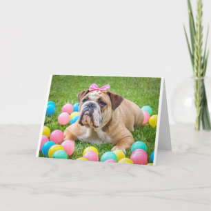 Cartão De Festividades Animais-Páscoa-do-mato-gafanhotos