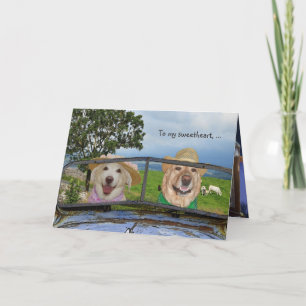 Cartão De Festividades Aniversário de Cachorros Engraçados