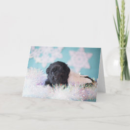 Cartão De Festividades Anjo de Natal Cachorrinho