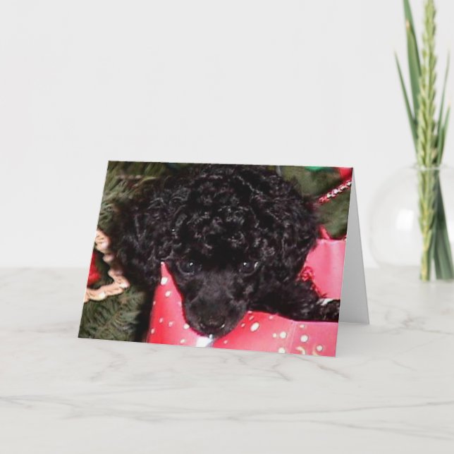 Cartão De Festividades Anjo do Natal (Frente)