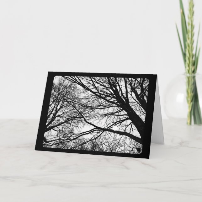 Cartão De Festividades Ano Novo & Solstício: Neve no Maple (Frente)