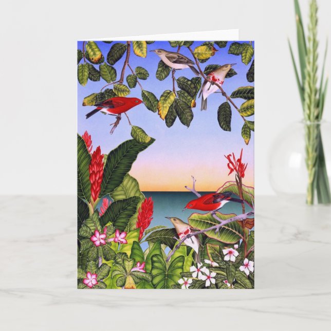 Cartão De Festividades Apanepano (Frente)