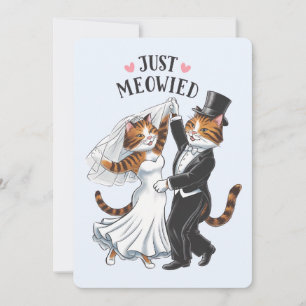 Cartão De Festividades Apenas Meowied Casais Casados Gato Divertido Casam