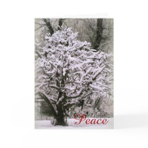 Apple tree covered in snow