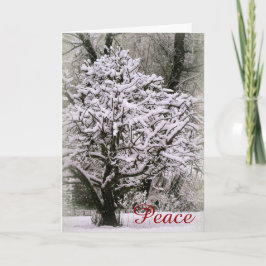 Cartão De Festividades Apple tree covered in snow